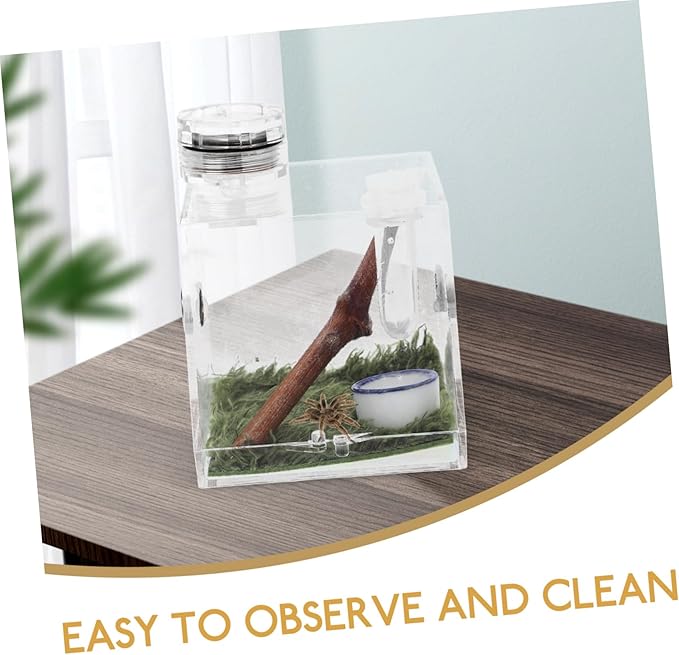 Mipcase 2pcs Box Jumping Spider Breeding Box Reptile Accessories Small Spider Enclosure Mini Critter Keeper Vivarium Tank Tarantula Cage Habitat Bracket Miniature Acrylic Little Spider