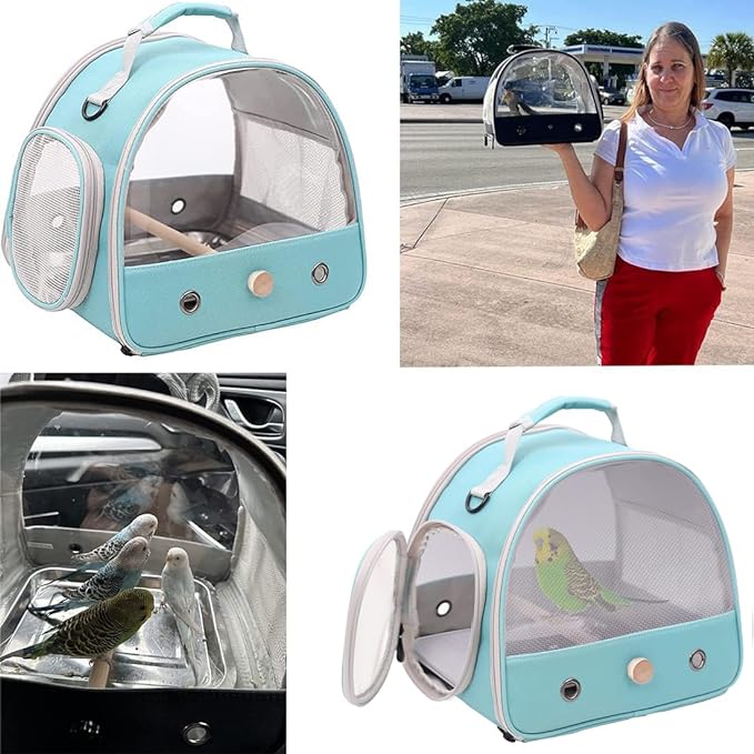 Bird Travel Cage, Portable Small Bird Parrot Parakeet Carrier with Standing Perch (NO Metal Tray), Side Access Window Collapsible(Green, Mesh Windows)