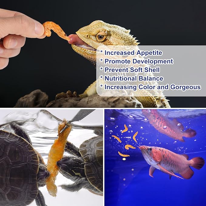 Freeze Dried Krill Turtle Food - Dried Shrimp High Protein Jumbo Shrimp Fish Food for Aquatic Turtle Beard Dragon Tropical Fish Amphibians Other Reptiles(4 OZ)