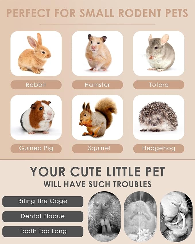 Bissap 32PCS Bunny Chew Toys, Mixed Natural Timothy Hay Pumpkin Strawberry Carrot Chinchillas Chewing Toys and Treats for Rabbit Bunny Guinea Pig Hamster Gerbil and Other Small Animals Molar Snacks