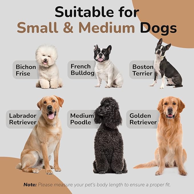 dCee Medium Dog Sofa, Holds Up to 70 Lbs, 33 in. Soft Velvety Dog Couches, Pet Sofa for Comfort Sleep and Joint Support, Navy