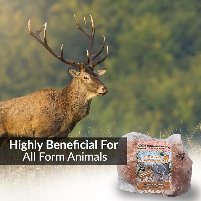 Animal Licking Pink Salt Rock Lick Deer| 5 Pound
