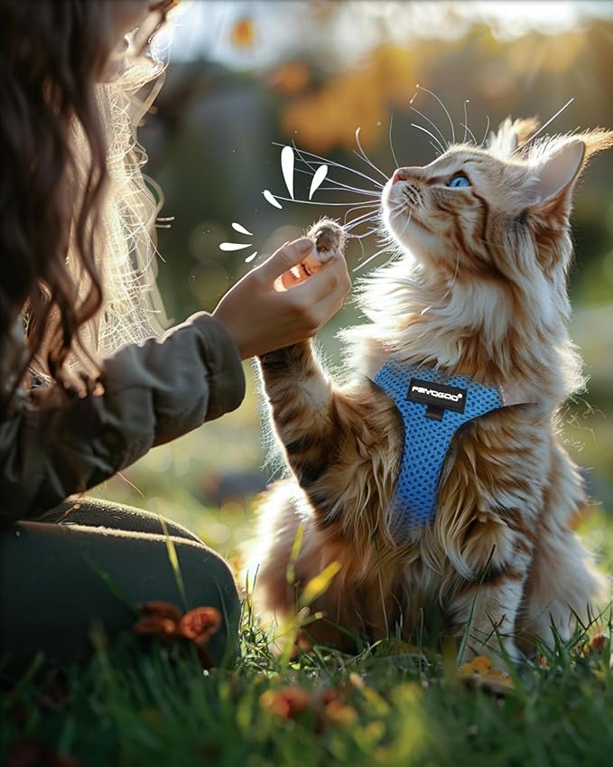 Cat Harness, Cat Leash and Harness Set for Walking Escape Proof, Harness for Small Cats/Small Dogs, Large Kitten/Puppy Harness and Leash, Harness for Cats S-XXL(Tranquil Teal, Medium)