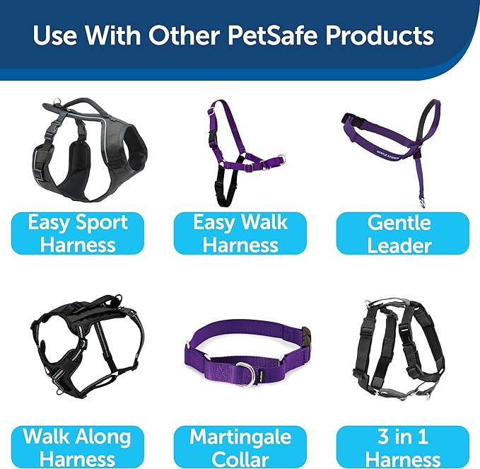 PetSafe Nylon Dog Leash – Strong, Durable, Traditional Style Leash with Easy to Use Bolt Snap – 3/4" x 6', Deep Purple