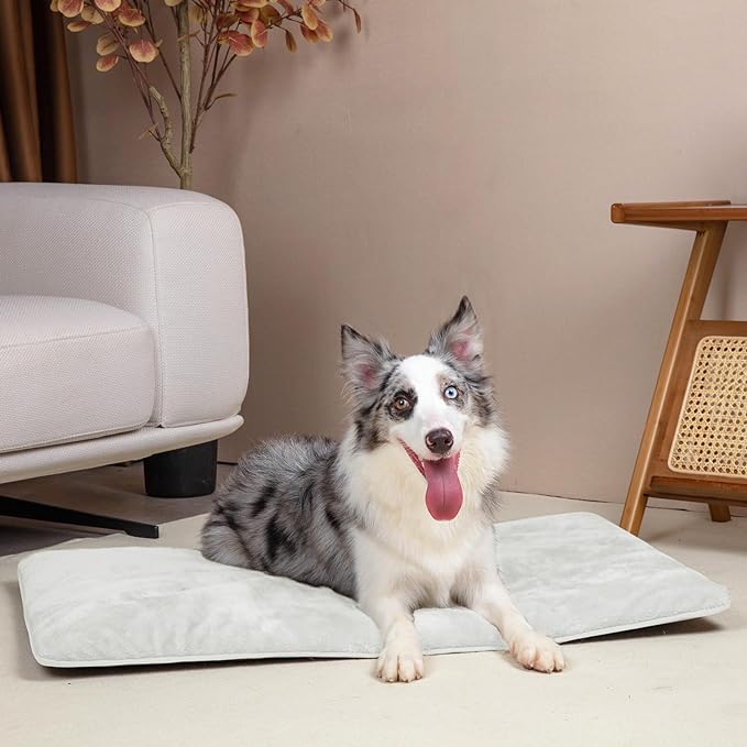 Mora Pets Dog Crate Pad Waterproof Dog Bed Mat Ultra Soft Pet Bed with Removable Washable Cover Anti-Slip Bottom Memory Foam Kennel Pad for Medium Large Dogs 42 x 27 inch Beige