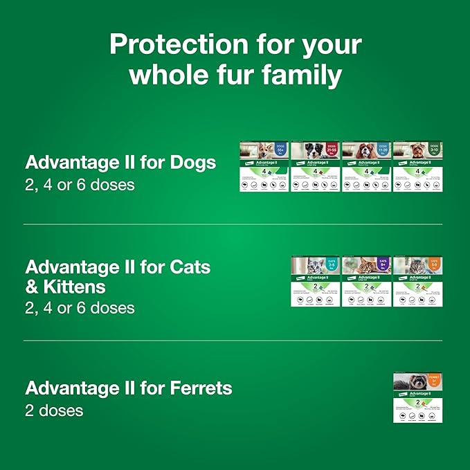 Advantage II Small Cat Vet-Recommended Flea Treatment & Prevention | Cats 5-9 lbs. | 8-Month Supply