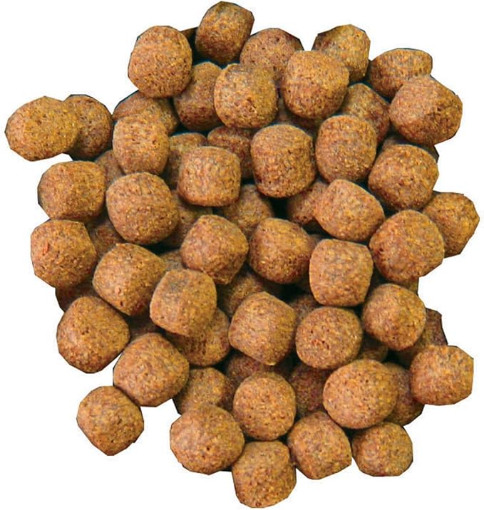 Aquascape 50003 Premium Staple Fish Food Pellets for Large Pond Fish, Large Pellet, 44 pounds