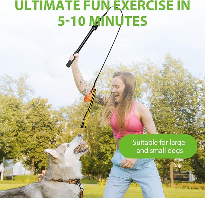 Flirt Pole for Dogs, Interactive Toys Tug-of-war for Dogs, Durable Teaser Wand, Chase Toys with Rope Chewing Sticks, for Outdoor Exercise & Training