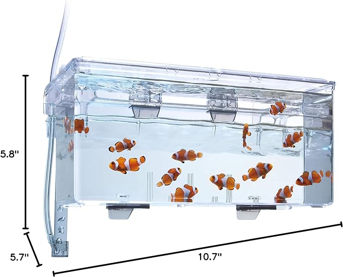 Fluval Multi-Chamber Holding and Breeding Box, Large – Up To 3 Separate Housing Compartments