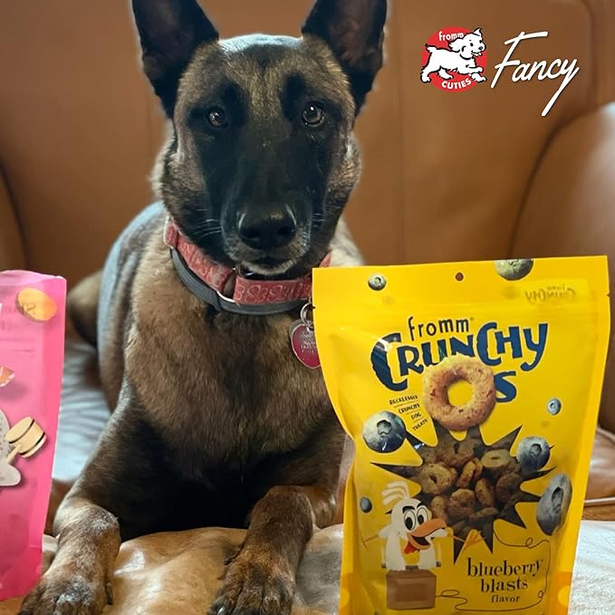 Fromm Crunchy Os Dog Treat Variety Pack - Crunchy Dog Treat Sample Pack (Beef, Chicken, Pork) - Pack of (3) 6 oz Bags