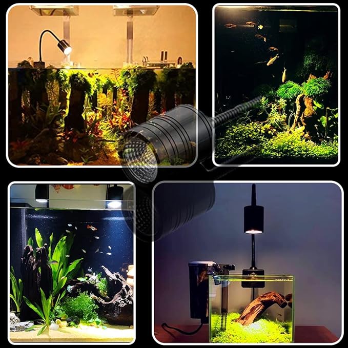 LED Aquarium Light - Freshwater Fish Tank Spotlight Vivarium Terrarium Light 3000K Warm White 4000K Natural White 6000K Cool White COB 3 Modes 5W for Corydoras, African Cichlid, Aquascaped Aquariums