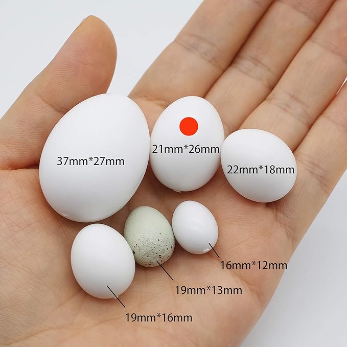 8 Pcs Solid Parrot Plastic Eggs Hatching Eggs Green Cheek, Lorikeet&Ringneck Dove, Quaker, Cockatiel. Trick The Birds to Stop Laying Eggs, Plastic Eggs