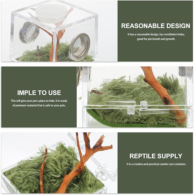 Mipcase 2pcs Jumping Spider Enclosure, Acrylic Spider Terrarium Transparent Jumping Spider Habitat for Jumping Spider Accessories