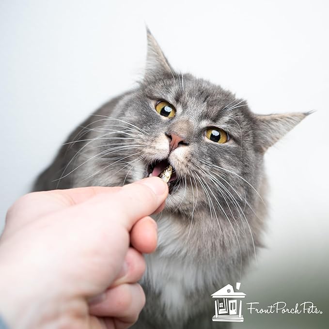 Chef David Natural Freeze Dried Cat Treats - Healthy Cat Fish Treats - Simply Minnows - 0.5 oz, Pack of 6