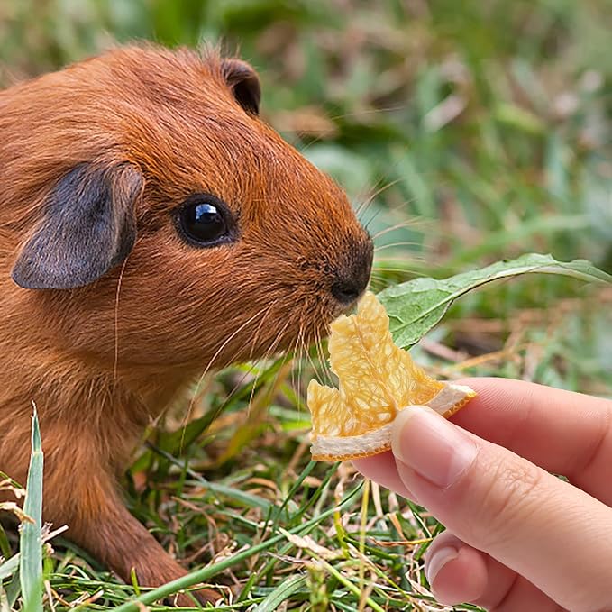 18 Grids Bunny Natural Mix Treats, Bunny Chew Toys, Guinea Pig Snacks,Healthy Bunny Treats,Rabbit Chew Toys,Small Animal Treats (Fruit+Vegetable, M)