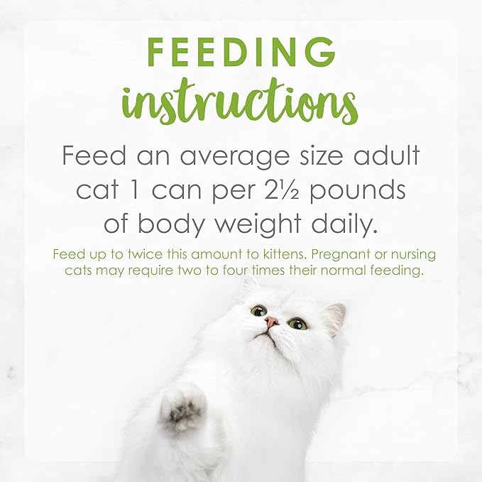 Purina Fancy Feast Grilled Wet Cat Food Salmon Feast in Wet Cat Food Gravy - (Pack of 24) 3 oz. Cans