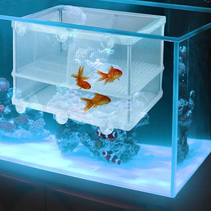 U R Fish Incubator Mesh U R Aquarium Breeding Hatchery Fish Tank Isolation U R Fish Breeder U R Young Fish Hatchery Incubator with Isolation Board (L)