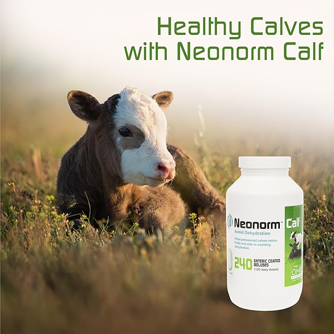 Jaguar Animal Health Neonorm Calf - Enteric Coated Supplement Boluses for Proper Hydration & Bowel Health - Plant-Based Product for Pre-Weaned Calves (240 Count)