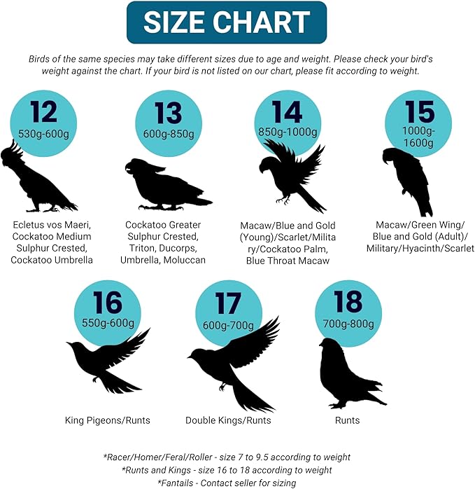 Bev's Bird Boutique Dungaree Overalls (Open-Back Style, Size 32) - Flyper Bird Diaper, High Waist, Unisex, Reusable, Water-Resistant Lining, Machine Washable