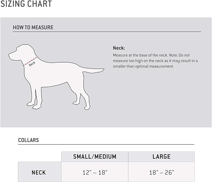 Carhartt Dog Collar Hunter Orange/Brushed Nickel Large