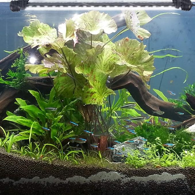 LED Aquarium Light, Fish Tank Lights Underwater Crystal Glass Bright LED Lights IP68 Waterproof Submersible Lights Strip Bar Aquarium Tank Top Lights, White, 15 Inch