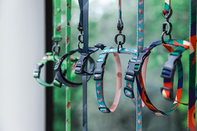 pidan Cat Harness and Leash Set, Cats Escape Proof - Adjustable Kitten Harness for Large Small Cats, Lightweight Soft Walking Travel Petsafe Harness((Multicolor-M Size)