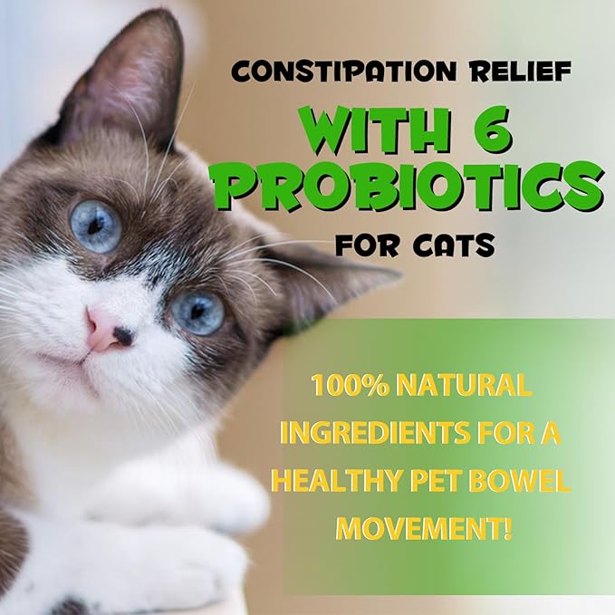 Cat Constipation Relief, Cat Constipation Drops for Cats Constipation Relief - Pet Herbal Supplements for Cats Laxative Constipation Relief, Chicken Flavour - 4 Fl Oz / 2 Pack