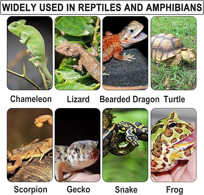 Reptile Basking Platform 2Pcs Tortoise Rock Plate Slate Feeding Platform Food Dish Bowl Turtle Bathing Rock Rest Terrace for Chameleon Lizard Bearded Dragon Gecko Snake Frog Newt (11.8''/30CM)