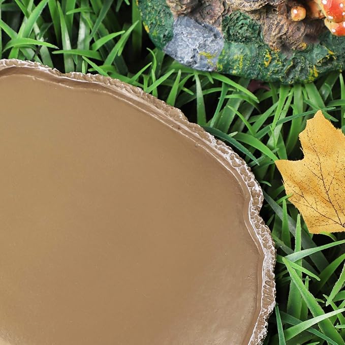 Reptile Bowl Resin Reptile Feeding Dish : Reptile Feeding Plate Reptile Food and Water Bowl - Reptile Food Bowl Terrarium Bowls for Lizard Gecko Bearded Dragon