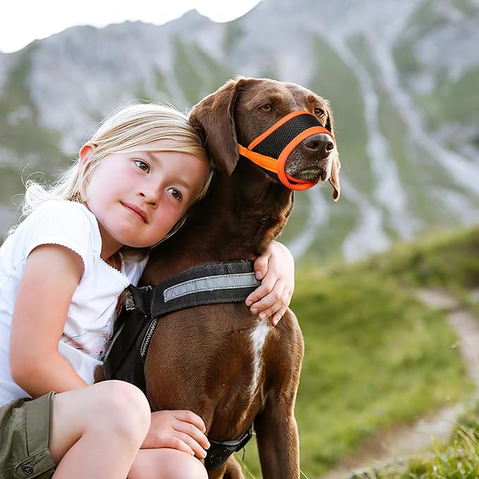 HEELE Dog Muzzle,Soft Nylon Muzzle Anti Biting Barking Chewing,Air Mesh Breathable Drinkable Adjustable Loop Pets Muzzle for Small Medium Large Dogs 4 Colors 4 Sizes XL