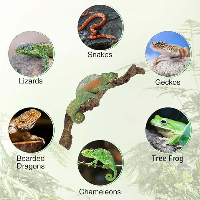 Reptile Climbing Branch Decor Wood Snake Terrarium Branches Lizard Habitat Decorations Wooden Tree Trunk Ornament for Bearded Dragon Geckos Chameleon Frog Pack of 4 (14-16 inch)