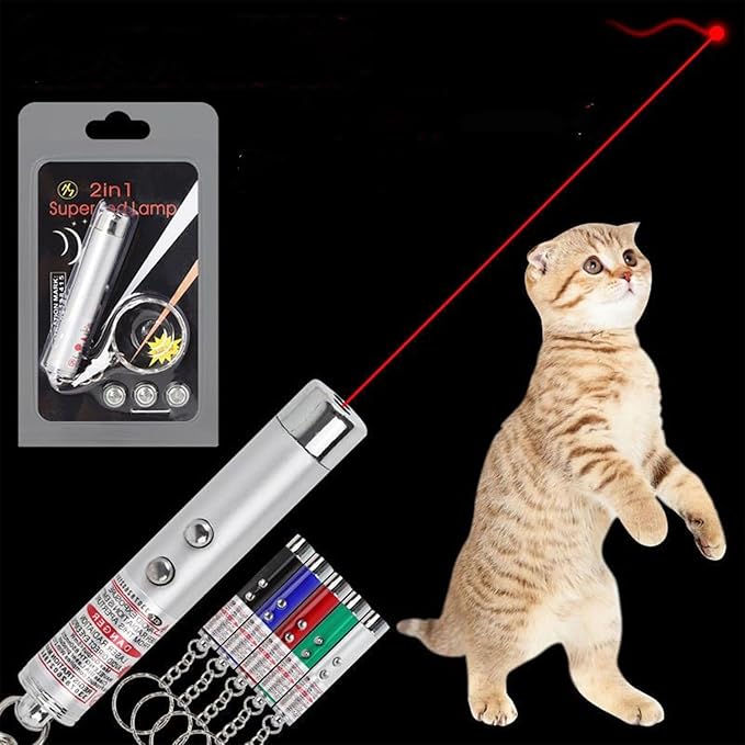 6PCS Cat Toy Mini Red Laser Pointer Cat Dog Interactive Training Tools White LED Torch Light with Keychain