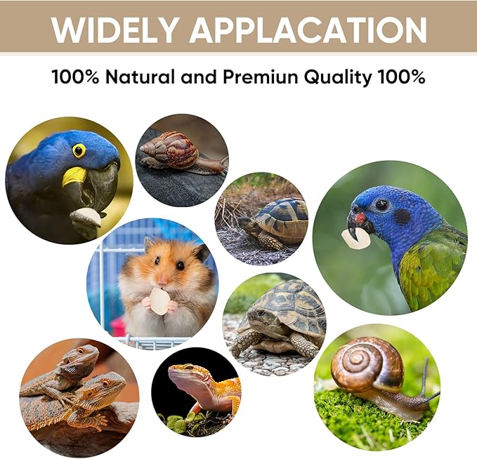 50 Pcs Cuttlebone for Birds Chewing Cuttlefish Bone for Sharp Beaks Birds Calcium Natural Cuttlebone for Birds, Tortoises, Snails, Reptiles, Cockatiels