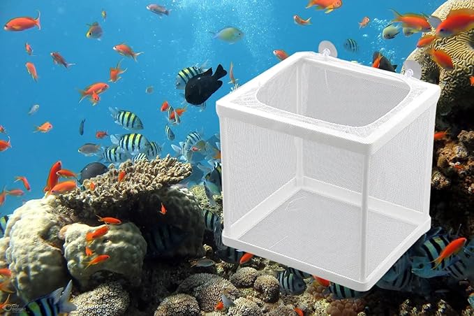MY MIRONEY 6.3" x 5.63" x 6.22" Fish Incubator Mesh Box Aquarium Fish Breeder Box White Nylon Mesh Juvenile Fish Separation Net Fish Fry Hatchery with Suction Cups Pack of 2