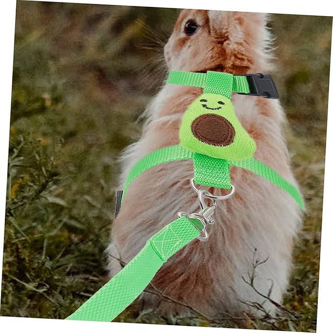 1 Set Rabbit Leash Hedgehog Avocado Leash Mini Pig Harness Ferret Walking Vest Bunny Harness and Leash for Rabbits Rabbit Harness kit Bunny Harness Large Polyester pet Hamster