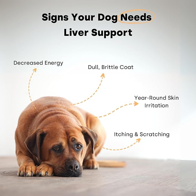 Kayode City Dog Detox - Dog Liver Supplement & Dog Anti Inflammatory. Helps Detoxify and A Natural Dog Skin Irritation Treatment. Itch Relief Dog Chews & Dog Liver Support. with Milk Thistle for Dogs
