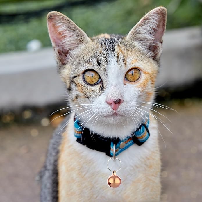 Cat Bell, 8 PCS Bell for Dog Collar Charm Dog Collar Bell Round Dog Bells Cat Bells for Collar Loud Dog Training Bell with Pet Collar Accessories Dog Collar Bells for Small Dogs Cat (Rose Gold)