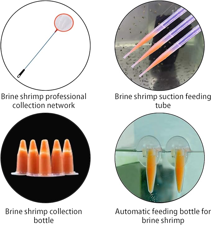 Brine Shrimp Hatchery Kits brine Shrimp Eggs Incubator Hatchery brine Shrimp Eggs Incubator Artemia Hatchery kit Machine