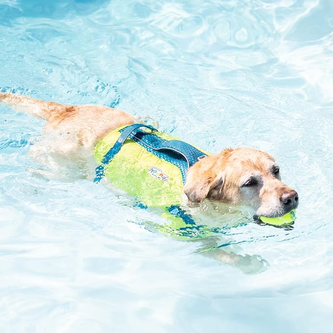 Outward Hound Standley Sport Green Performance Dog Life Jacket, Large