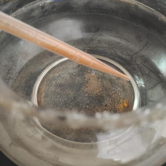 5 Pack Aquarium Test Dropper 5ml Baby Brine Shrimp Eggs Feeder Mini Fish Bowl Fish Feces Transfer Pipettes