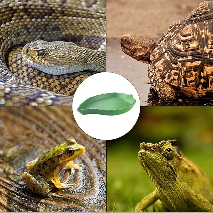 3 PCS Tortoise Food Dish with Ramp and Tortoise Water Bowl,Gray Reptile Water Bowl,Reptile Water Dish Amphibians Habitat,Reptile Water Bowl for Turtles,Horned Frogs and Lizards(Brown)