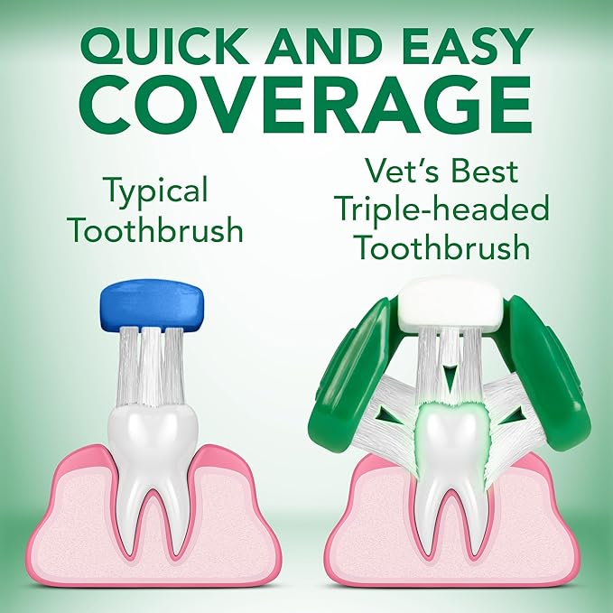 Vet's Best Dog Toothbrush & Toothpaste Kit - Natural Ingredients Reduce Plaque, Whiten Teeth, Freshen Breath