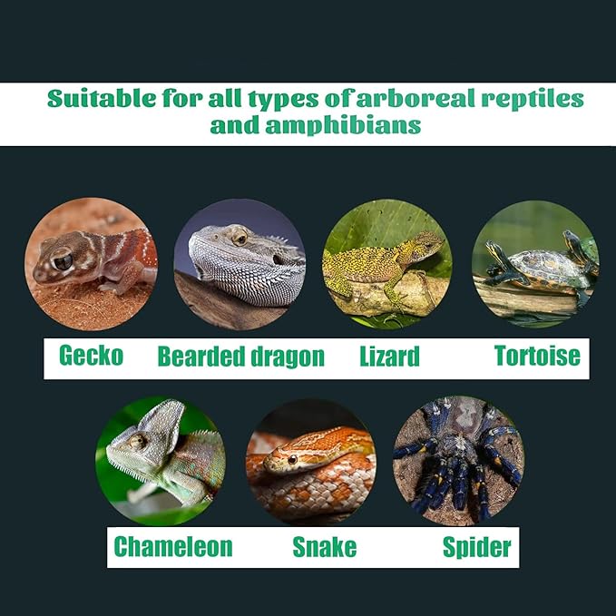 Reptile Artificial Plants with Base, Terrarium Decor Amphibian Habitat Plant, Bearded Dragon Tank Accessories fit Gecko Lizard Chameleon Snake Frog - Monstera Adansonni