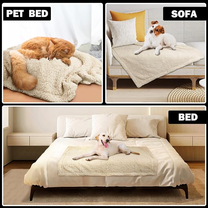 furrybaby Dog Blanket Soft Dog Blankets for Small Dogs Puppy Essentials Washable Fluffy Sherpa Fleece Cat Blanket 24x32 Inches for Bed Furniture Couch Sofa (Double-Layer Small, Beige)