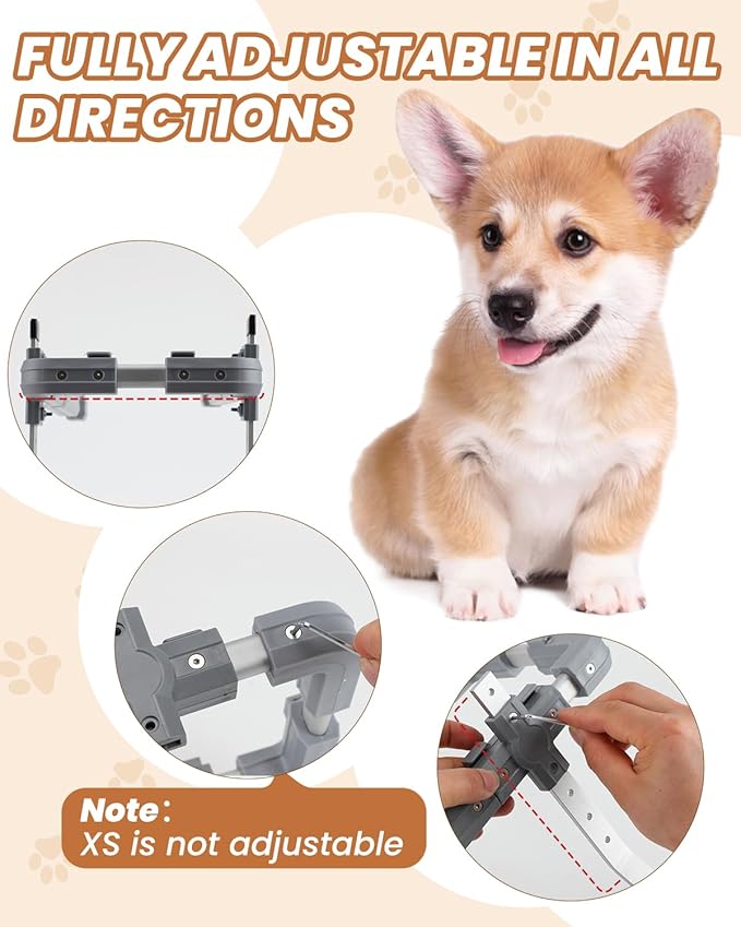 Adjustable Dog Wheelchair, Wheelchairs for Dogs, Pet Cart with Wheels, Dog Wheelchair for Back Legs Dashshund, Pet Wheel Chair with a Leash, Grey, S