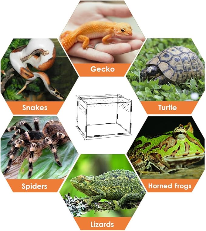 Reptile Breeding Box, Transparent Acrylic Reptile Box Pet Breeding Cage Hatching Container House for Lizard Snakes Geckos