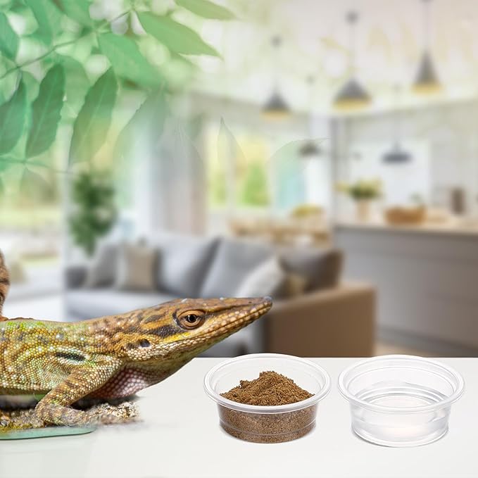 1000 Pcs 0.5 oz Gecko Feeding Cups Small Gecko Food and Water Cups Reptile Feeding Bowls Plastic Bearded Dragon Food Bowl for Lizard Small Pet Ledge Accessories