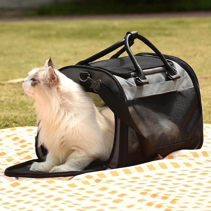 PET MARVEL Cat Carrier Soft Sided for Small Medium Cats Puppy up to 15 Lbs, Airline Approved Mesh Pet Travel Bag, Breathable Bite-Resistant Fabric with Removable Washable Mat