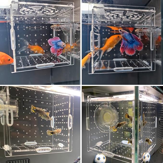 Acrylic Fish Breeding Box, Transparent Fish Isolation Box Hatchery Incubator with Suction Cups for Aquarium Fish Tank Guppy Shrimp Clownfish African Cichlids (4 * 4 * 4inch)