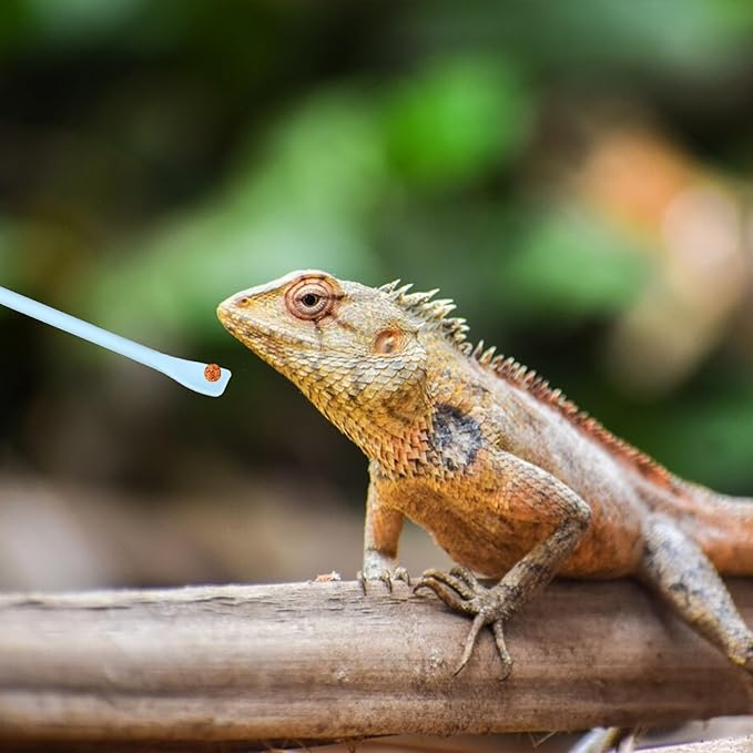 2Pcs Reptile Food Spoon Silicone Crested Gecko Feeding Spoon, Crested Gecko Food Mixing Spoon for Gecko Lizard Gargoyle Bearded